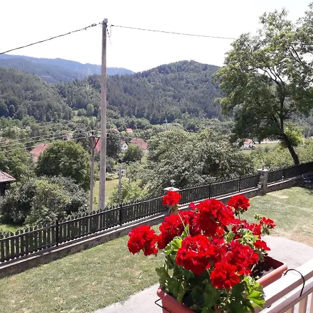 Maksimovic Apartament *