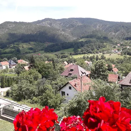 Maksimovic Apartment