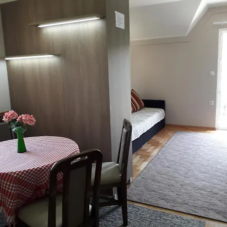 Maksimovic Apartment Mokra Gora