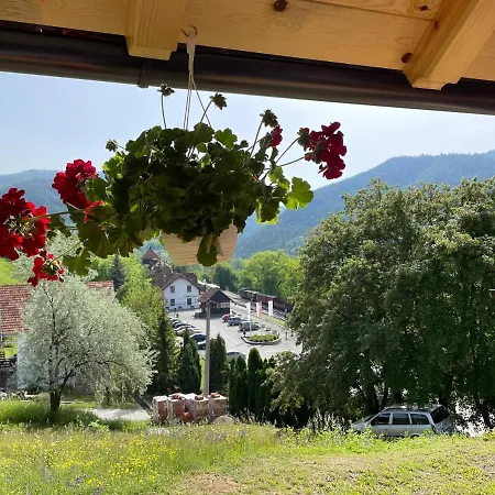 Maksimovic Mokra Gora