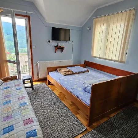 Apartment Maksimovic *
