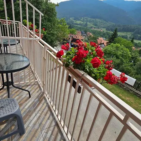 Apartment Maksimovic Mokra Gora