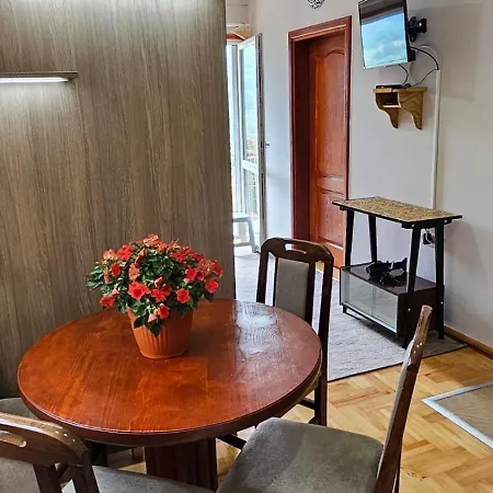 Apartment Maksimovic Mokra Gora