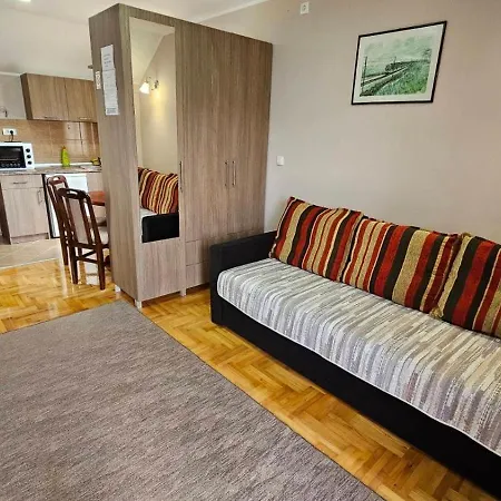 Maksimovic Apartment Mokra Gora
