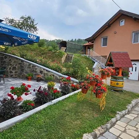 Maksimovic Mokra Gora