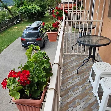 Maksimovic Apartment