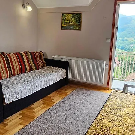 Maksimovic * Mokra Gora