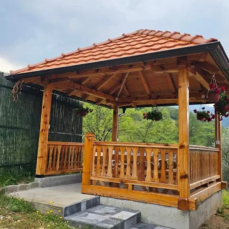 Maksimovic * Mokra Gora